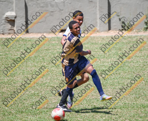 Campeonato Novos Talentos em Ouro Fino