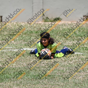 Campeonato Novos Talentos em Ouro Fino