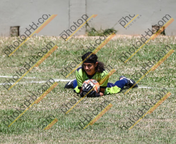 Campeonato Novos Talentos em Ouro Fino