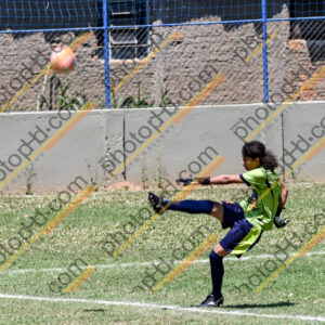 Campeonato Novos Talentos em Ouro Fino